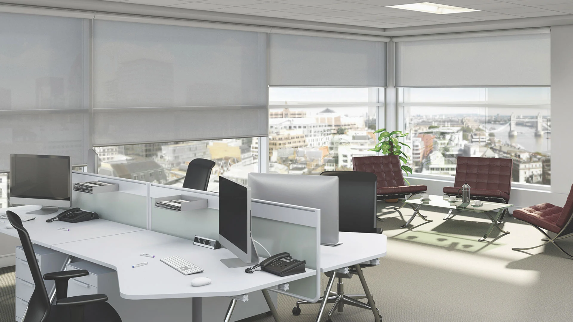 Commercial blinds installed in a business space